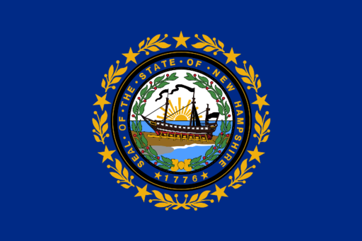New Hampshire Flag